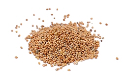 Millet Seeds